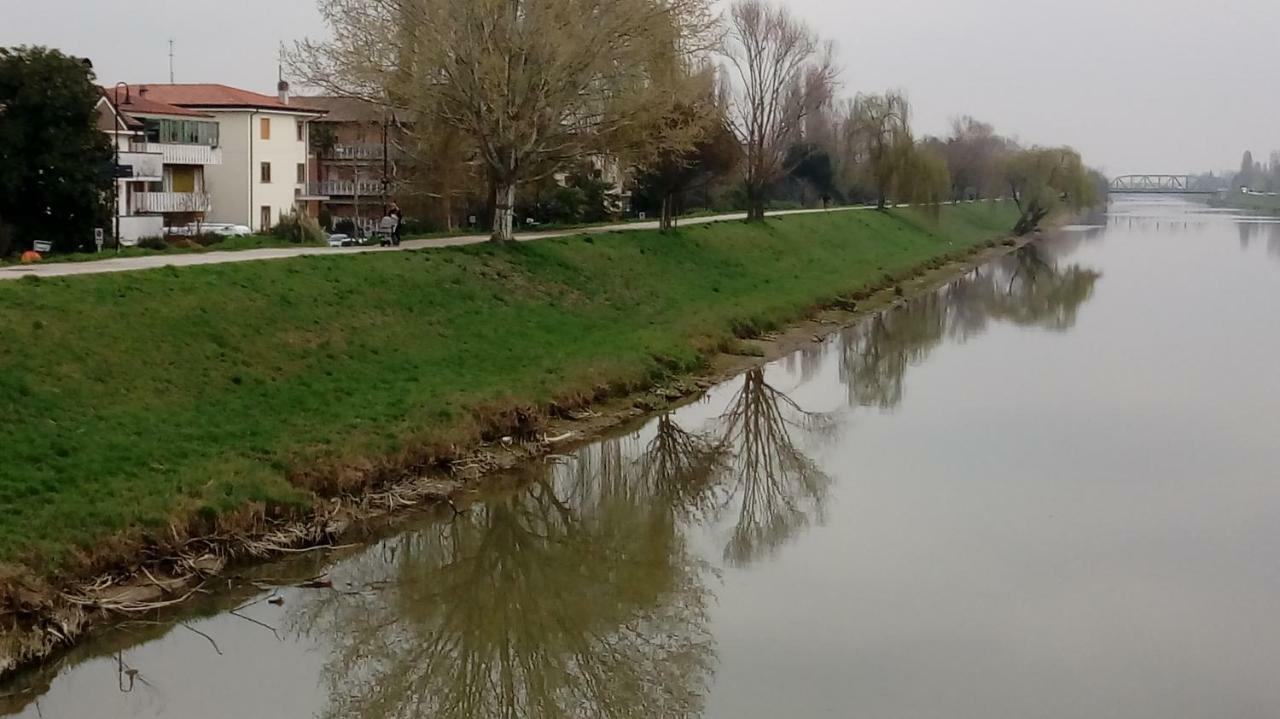 Vicino Al Prato Della Valle Intero Appartamento Parcheggio Facile Di Fronte Padova Ngoại thất bức ảnh